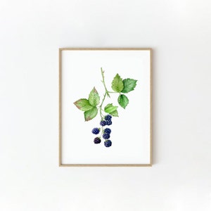 Original watercolor Painting Blackberry , Unique watercolor art, blackberry home decor, wild berry painting, blackberry branch art