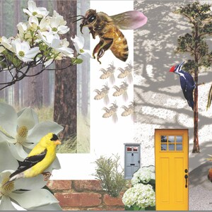 Honey Honey Digital Print
