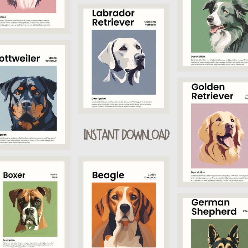 Charlotte Definition Poster Personalized Name Art Print Nursery Wall