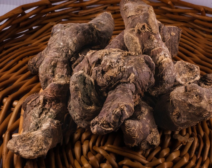 1 Ounce of Low John to Chew Root Chewing John Root whole - Etsy