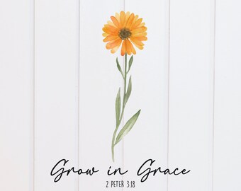 PNG Datei - Wachsen in Gnade Blumen 2 Peter, Schriftdesigns, Bibelversdesign, Christlich, Sublimationsgrafik, Clipart