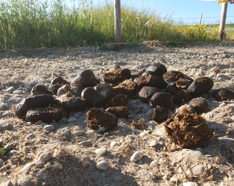 Paardenmest als meststof