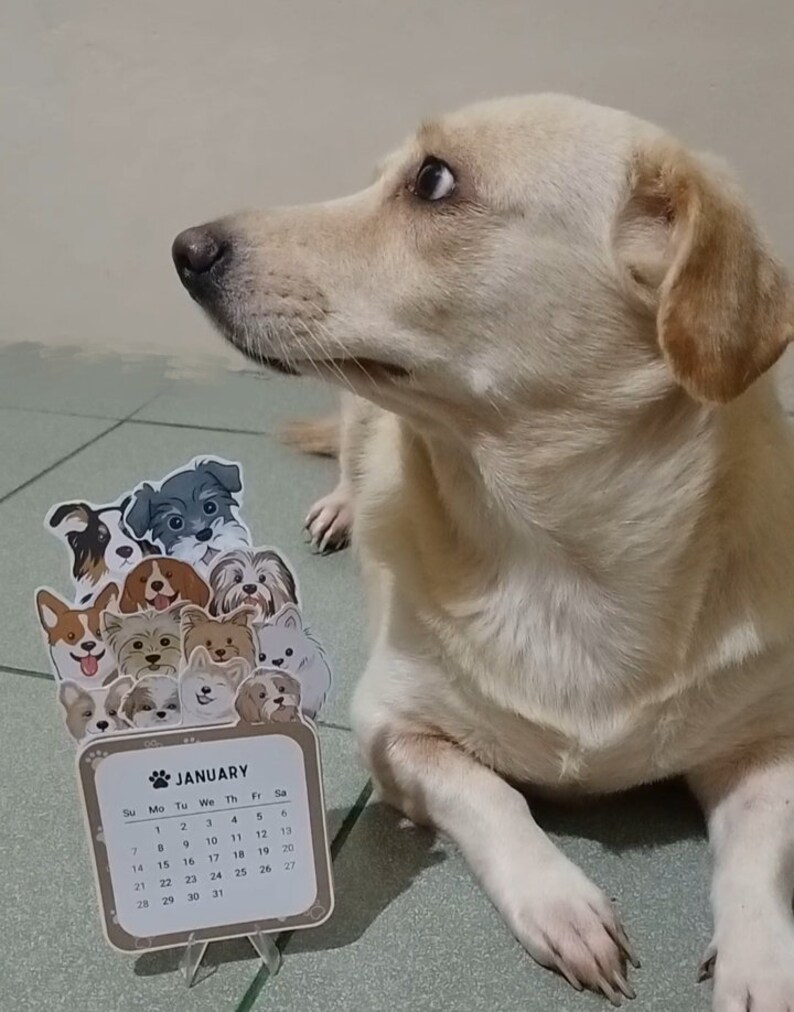 2024 Dog Desk Calendar Printable, 2024 Calendar, Mini Calendar