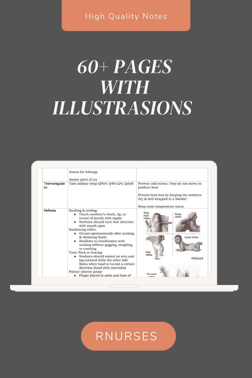 OB & Maternity Nursing Notes Part 1, Digital Download, 60+ Pages ...