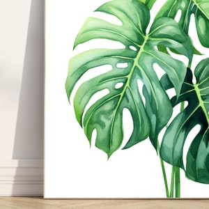 May include: A watercolour painting of a large green monstera leaf with a white background.
