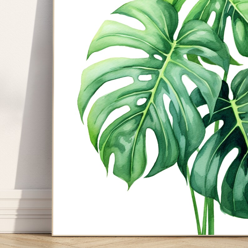 May include: A watercolour painting of a large green monstera leaf with a white background.