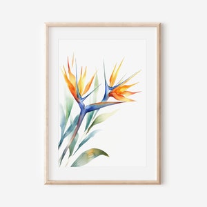Original Watercolor Bird of Paradise Print on Thick Matte Paper, Tropical Decor, Bohemian Gift Ideas, Coastal Home Interior, Plant Lover Art