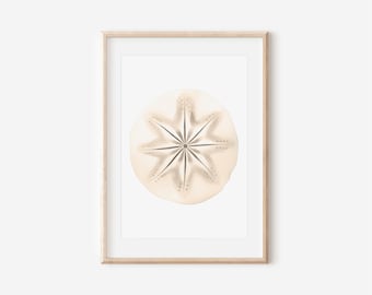 Watercolor Sand Dollar Print, Beige Coastal Wall Art