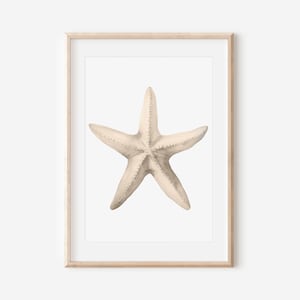 Watercolor Starfish Print, Minimalist Wall Decor, Nautical Art, Ocean Summer Painting, Calming House Decor, Beige Ecru, Neutral Color Art