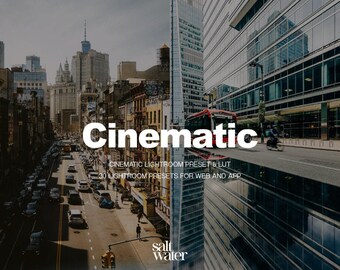 100 Cinematic LUTs | Video Color Grading Presets | Premiere Pro After Effects | Film Video Filter Digital Download