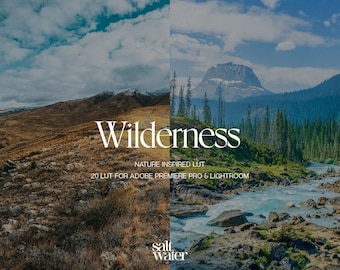 20 Wilderness LUTs | Cinematic Nature Video Color Grading | Premiere Pro After Effects | Film Video Filter Digital Download