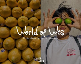 World of Wes - Wes Anderson Inspired Lightroom mobile & desktop PRESETS | Travel, Photos, Trip Filters | Travel Lifestyle Aesthetic, Film
