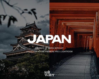20 Cinematic Japan Video Preset, Cinematic Film Video Filter, Photo and Video Color Grading, Premiere Pro, After Effects, Video Editing, LUT