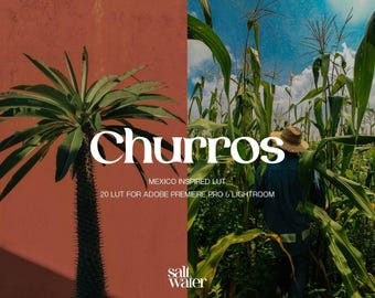 20 Mexico Inspired Video Presets, LUTs | Churros, Film Filter, Video Color Grading, Premiere Pro, After Effects, Video Editing, Colour Grade