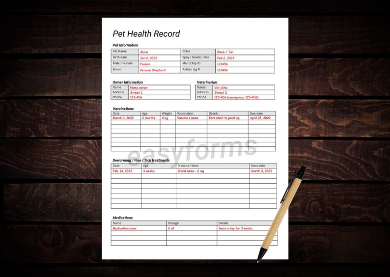 Pet Health Record Template Puppy Vaccination Record Pet Medication