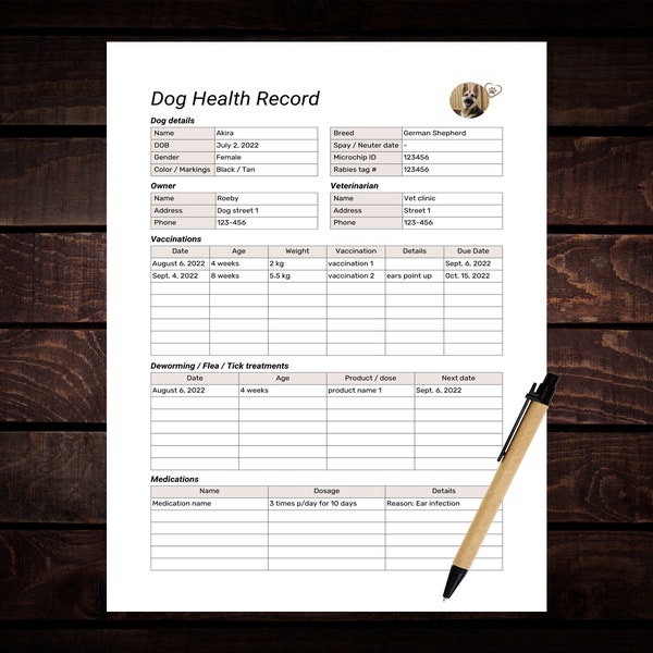 Dog Shot Record Canva - Etsy