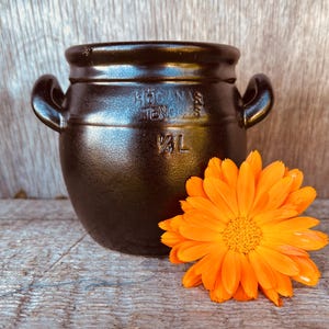 May include: A dark brown ceramic pot with two handles and the text "HOGANAS TENGODS" and "1/4 L" is next to a bright orange flower with a yellow center. The pot is sitting on a weathered wooden surface.