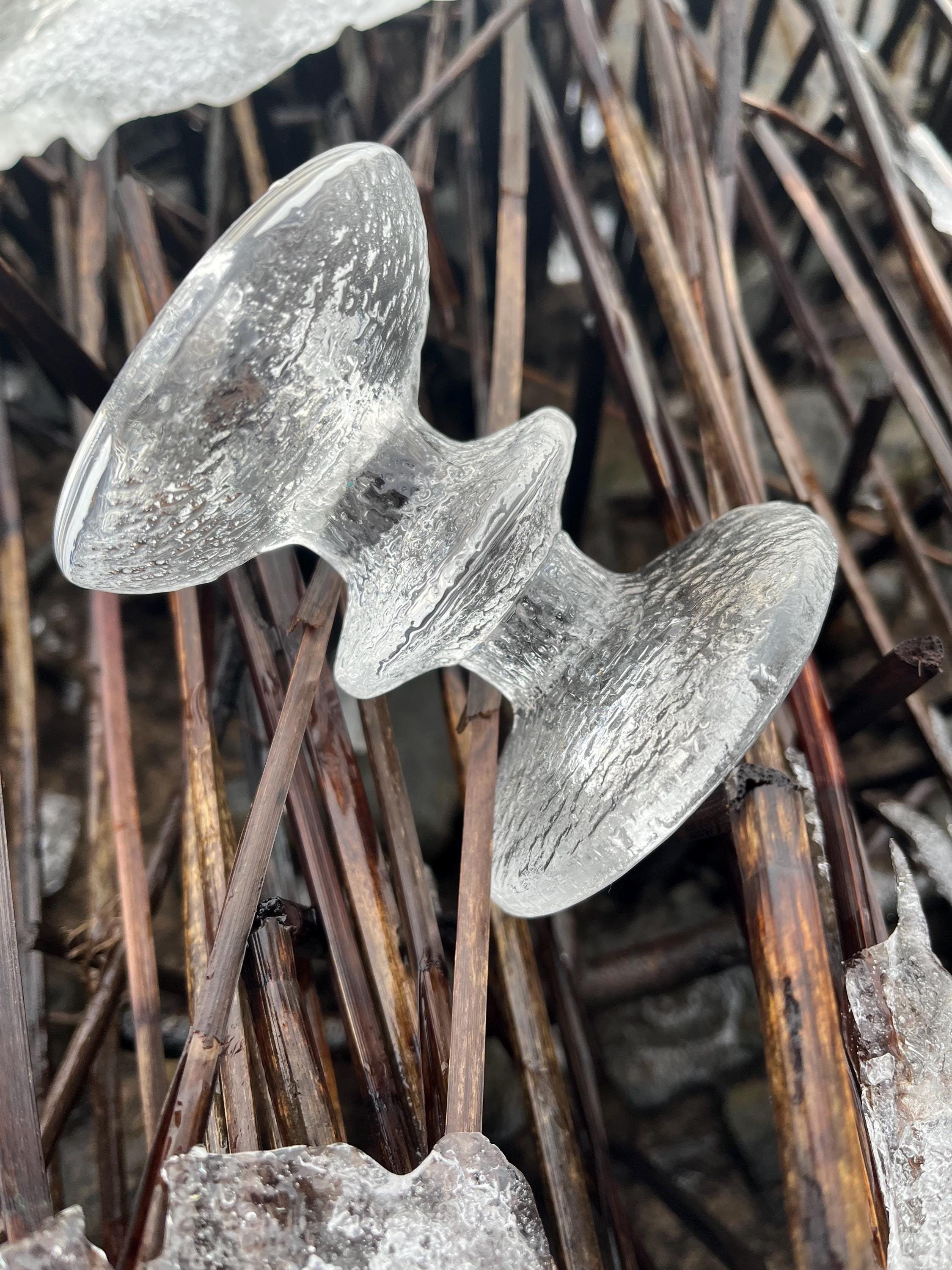 Iittala Festivo 7 Ring - Etsy