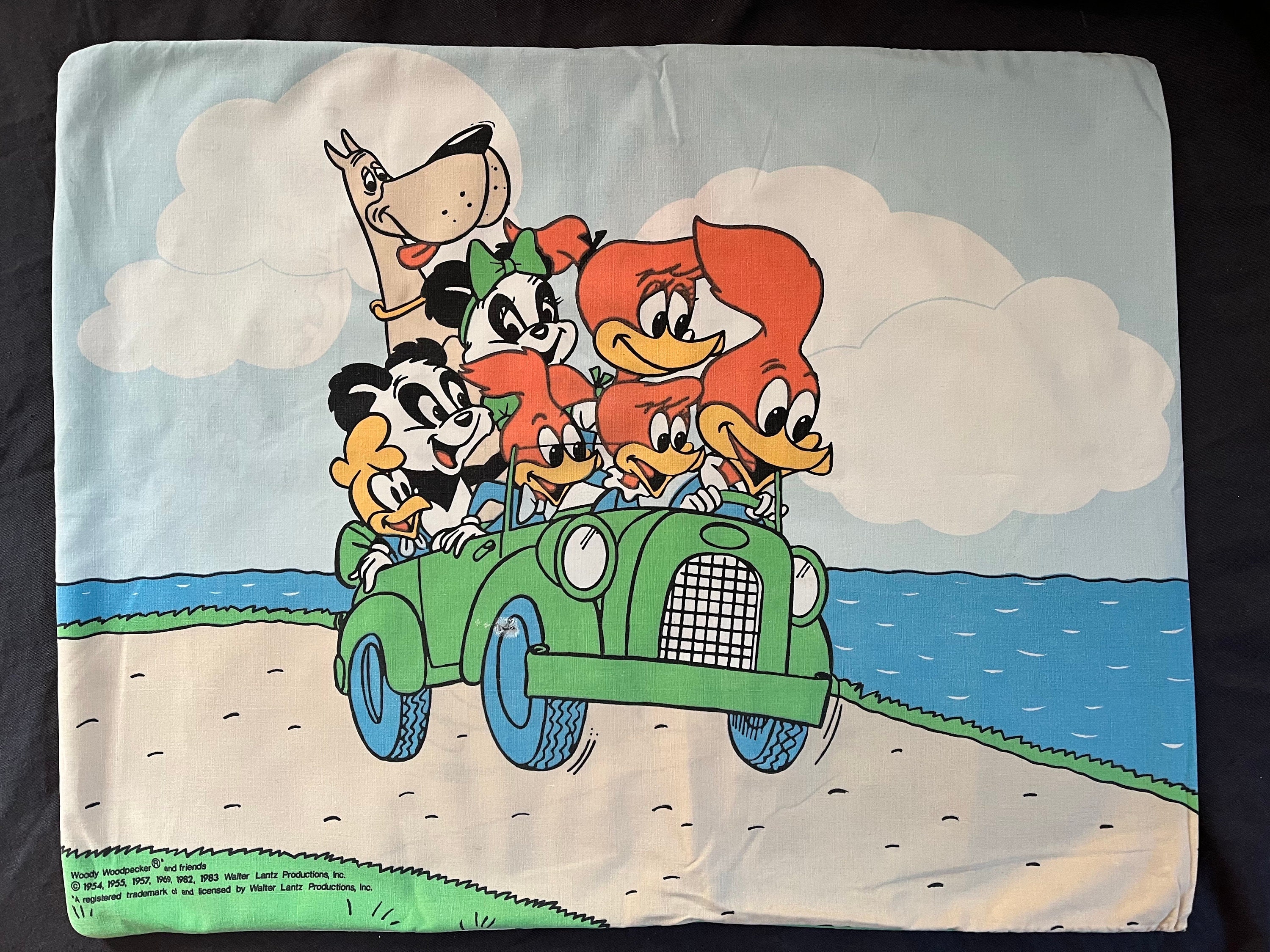 Cartoon pillow cases online