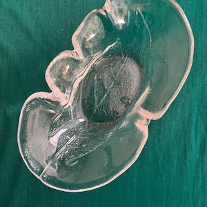 1970s Avocado Bowl Kosta Boda Sweden Design Ann and Goran Wärff Scandinavian Art Glass MCM Decor Vintage Swedish Fruit Bowl アートガラス예술 유리