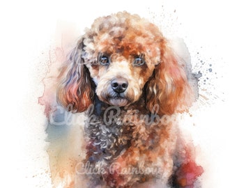Poodle Clipart, 12 Poodle PNG, Poodle Wall Art, Poodle Painting, Poodle Drawing, Poodle Canvas, Poodle Graphic, Digital Download