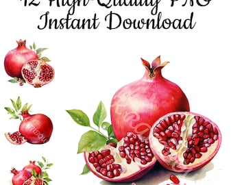 Pomegranate Watercolor Clipart: 12 PNG Illustrations (Digital Download)