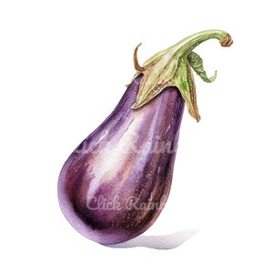 Aubergine Clipart, 12 Aubergine PNG, Aubergine Illustration, Aubergine Kunstdruck, Aubergine Sublimation, Aubergine Zeichnung, Sofort Download