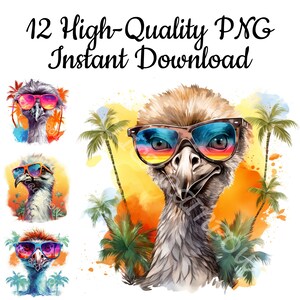 Ostrich With Sunglasses Clipart, 12 Ostrich PNG, Ostrich Illustration, Ostrich Painting, Ostrich Art print, Ostrich Design, Instant Download