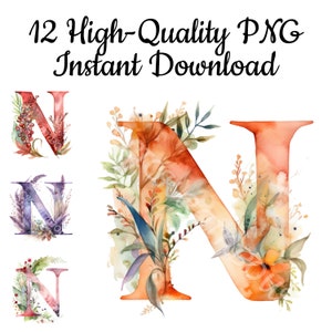 Clipart da letra N, 12 letras N PNG, ilustração da letra N, arte de parede da letra N, sublimação da letra N, aquarela da letra N, download digital
