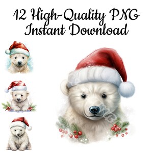 Polar Bear With Santa Hat Clipart, 12 Christmas Polar Bear PNG, Polar Bear Illustration, Polar Bear Wall Art, Polar Bear Download