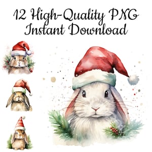 Bunny With Santa Hat Clipart, 12 Christmas Bunny PNG, Bunny Illustration, Bunny Watercolor, Bunny Digital Art, Instant Download