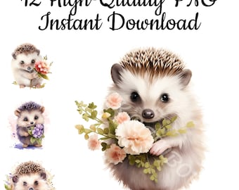 Cute Hedgehog Clipart, Floral Watercolor PNG (Digital Download)