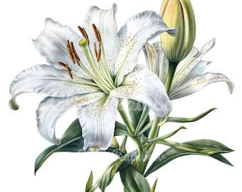 ユリのクリップアート、ユリの花のデジタルダウンロード、白い花