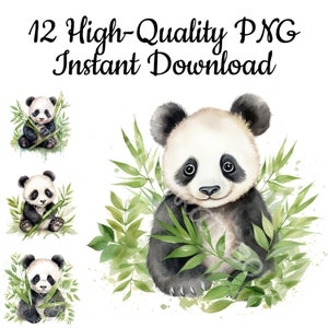 Clipart de panda avec bambou, 12 panda PNG, illustration de panda mignon, peinture de panda, dessin de panda, art mural panda, téléchargement immédiat
