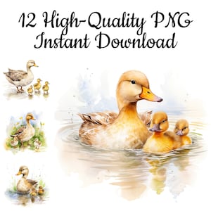 Ducklings Clipart, 12 Ducklings PNG, Baby Duck Art Print, Ducklings Illustration, Sublimation, Ducklings Art Print, Instant Download