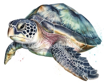 Clipart aquarelle tortue de mer : 12 illustrations PNG (téléchargement numérique)