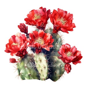 Cactus Clipart, 12 Cactus PNG, Cactus Illustration, Cactus Painting, Cactus Graphics, Cactus Digital Art, Cactus Design, Instant Download