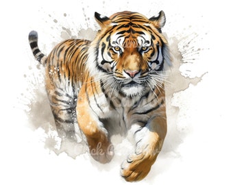 Tiger Watercolor Clipart: 12 PNG Illustrations (Digital Download)
