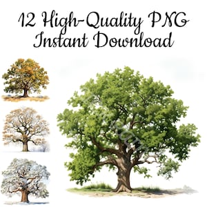 Oak Tree Clipart, 12 Oak Tree PNG, Oak Tree Watercolor, Oak Tree Art Print, Oak Tree Digital Art, Oak Tree Wall Art, Instant Download