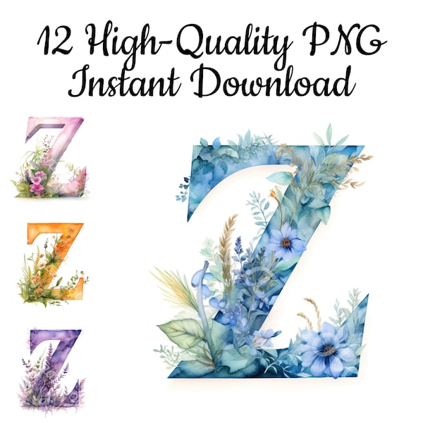 Letter Z Clipart, 12 Letter Z PNG, Letter Z Illustration, Letter Z Wall Art, Letter Z Canvas, Letter Z Digital Art, Instant Download