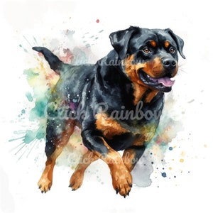 Rottweiler Clipart, 12 Rottweiler PNG, Rottweiler Illustration, Rottweiler Watercolor, Rottweiler Art Print, Digital Download