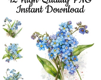Könnte beinhalten: Ein digitaler Download von 12 hochwertigen PNG-Bildern mit Aquarell-Illustrationen von blauen Vergissmeinnicht-Blumen. Die Blumen sind in verschiedenen Sträußen und einzelnen Stielen angeordnet, mit grünen Blättern und einem Aquarell-Hintergrund.