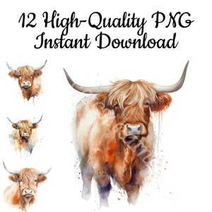 Highland Cow Clipart, 12 Highland Cow PNG, Highland Cow Illustration, Highland Cow Wall Art, Highland Cow Digital Art, Instant Download