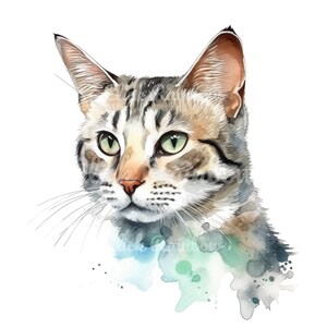Cat Clipart, 12 Cat PNG, Cat Art Print, Cat Illustration, Cat Sublimation, Cat Wall Art, Cat Drawing, Cat Digital Art, Instant Download