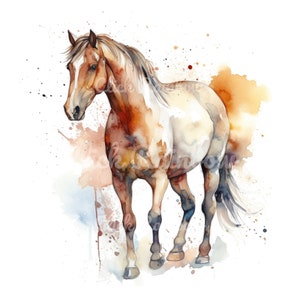 Horse Clipart, 12 Horse PNG, Horse Wall Art, Horse Illustration, Horse Painting, Horse Digital Art, Horse Graphics, Instant Download