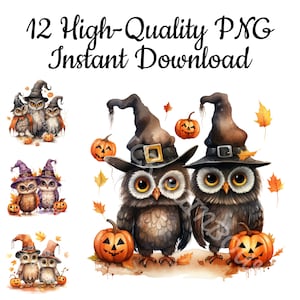 Halloween Owls Clipart, 12 Halloween Owl PNG, Halloween Owl Illustration, Halloween Owl Painting, Halloween Owl Art Print, Instant Download