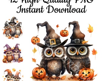 Halloween Owl Clipart: 12 PNG Illustrations (Instant Download)