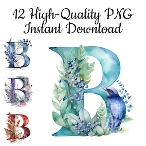 Letra B Clipart, 12 Letras B PNG, Letra B Artística em Aquarela, Letra B Gráfico, Letra B Impressão Artística, Letra B Digital, Download Instantâneo