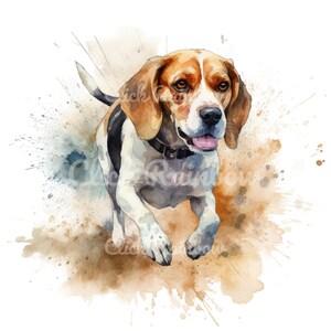 Beagle Clipart, 12 Beagle PNG, Beagle Illustration, Beagle Sublimation, Beagle Art Print, Beagle Digital Art, Instant Download