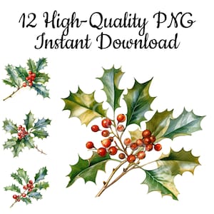 Christmas Holly Takje Clipart, 12 Holly Takje PNG, Holly Takje Art Print, Holly Takje Design, Holly Takje Illustratie, Instant Download